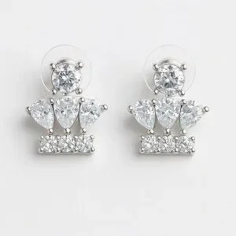 Elegant Silver Crystal Earrings ????